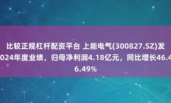 比较正规杠杆配资平台 上能电气(300827.SZ)发布2024年度业绩，归母净利润4.18亿元，同比增长46.49%