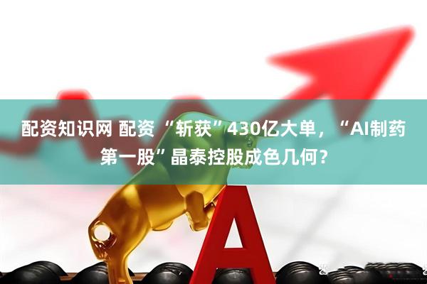 配资知识网 配资 “斩获”430亿大单，“AI制药第一股”晶泰控股成色几何？